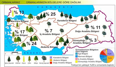 türkiyede ormancılık